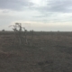 The challenges of protecting people accused of misusing supernatural powers in South Sudan